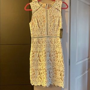 Baby blue/tan lace lulus dress
